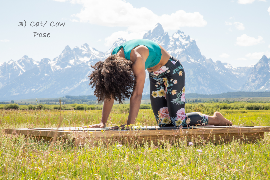 woman practices cat/cow pose with Tetons as backdrop - YogaToday