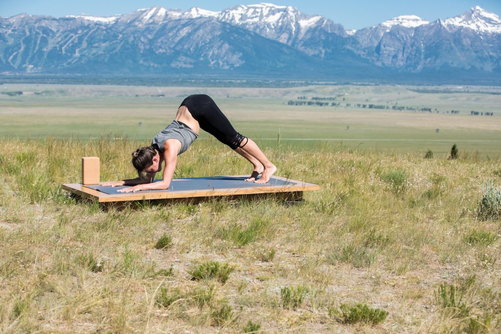 woman practices dolphin pose - yogatoday